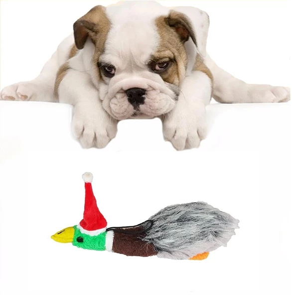 Noel Şapkalı Ördek Şekilli Köpek Peluş Oyuncak 24x7 cm - Resim 2