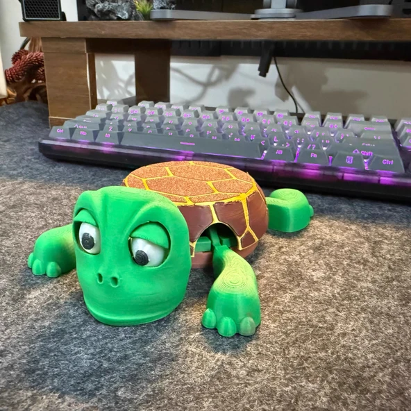 3D Baskı Kaplumbağa Bardak Altlığı - İkili Paket