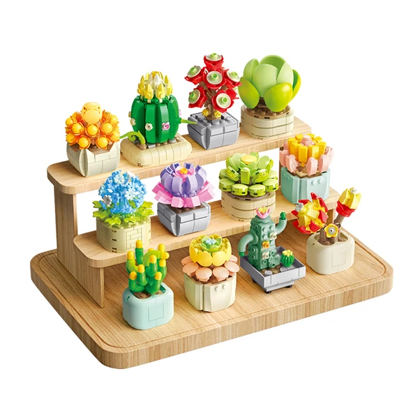 Sukulent Yapı Taşları Buketi - 12'li Etli Set [Ahşap Çerçeve Yok]