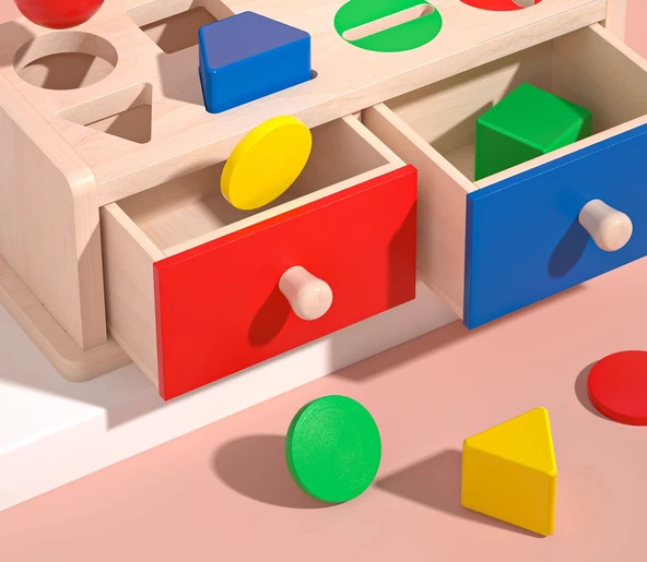 Montessori Oyuncak - Para Atma Kutusu ve Besleme Oyunu - 9