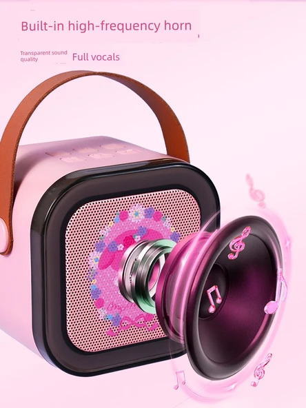 Çift Mikrofonlu Karaoke Oyuncak Mikrofon - 32G Hafıza Kartı Okuyuculu - 8