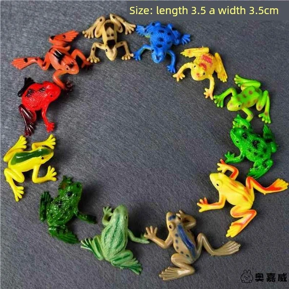 Simülasyon Kurbağa Model Oyuncak - Kurbağa Yavrusu Aşaması 2 [5] - Resim 4