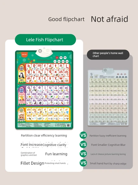 Eğitici Duvar Tablosu - Çince Pinyin + İngilizce Fonetik Alfabe - Resim 3