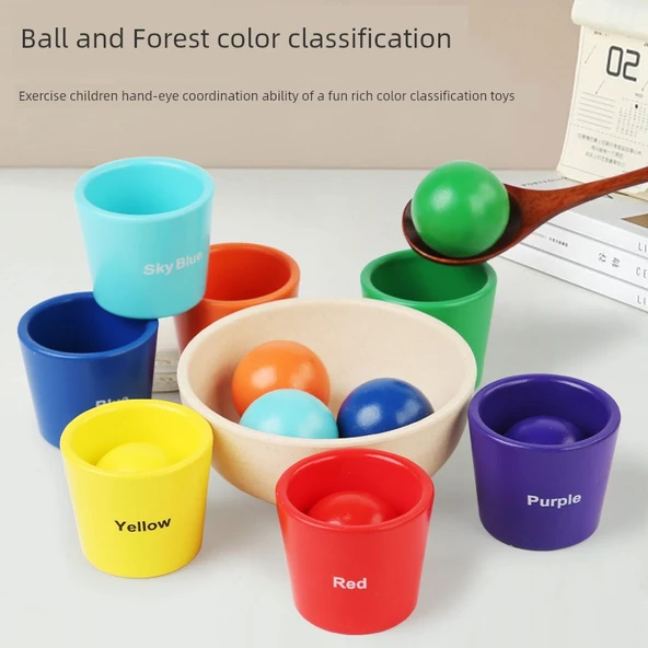 Montessori Renk Eşleştirme Oyunu - 7 Renkli Top ve Bardak (İngilizce Baskılı)