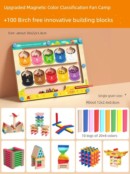 Montessori Labirent Oyuncak - Manyetik Renk Sınıflandırma + 100 Huş Ağacı Blok