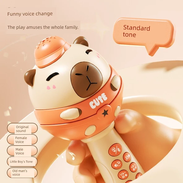 Çocuk Karaoke Mikrofon Oyuncak - Kapibara Mavi - Bluetooth USB - Resim 4