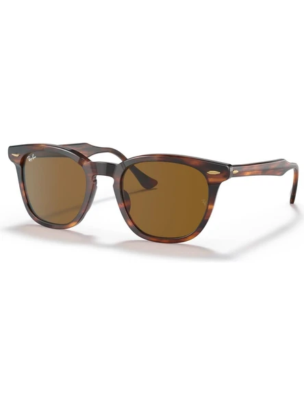 Ray-Ban Rb 2298 954/33 52 Güneş Gözlüğü