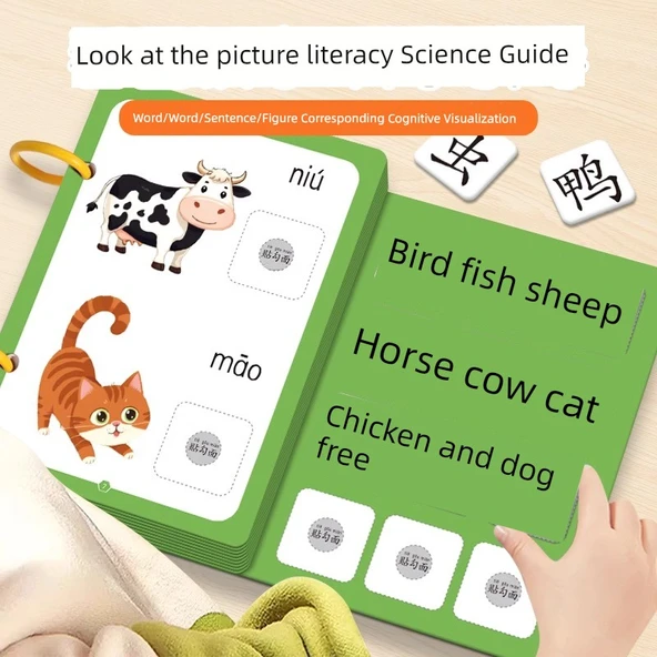 Çocuklar İçin Erken Eğitim Kitabı - 8 Kitap Seti - 5