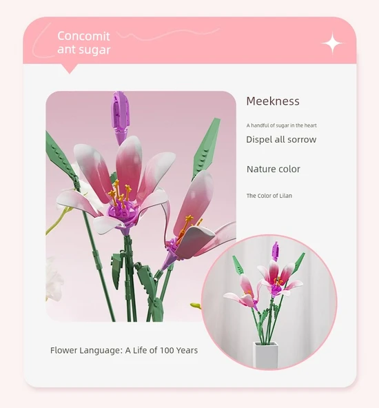 Lily Serisi Eşlik Eden Şeker Yapı Blokları