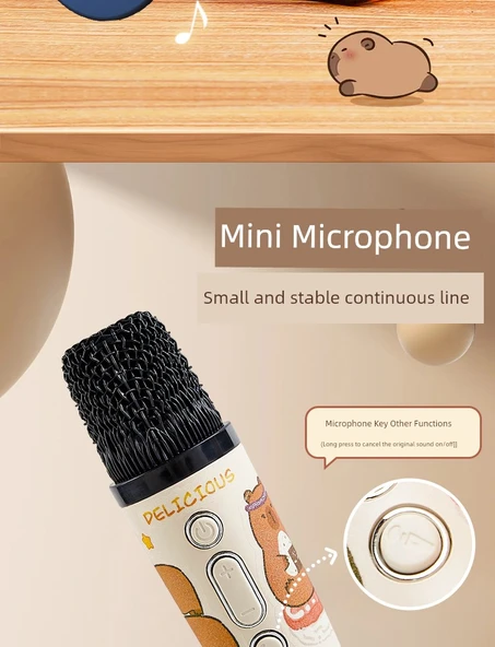 Çift Mikrofonlu Karaoke Seti - Kabipbala Desenli - Bluetooth, Gradient Lamba, Miks Ses - 9
