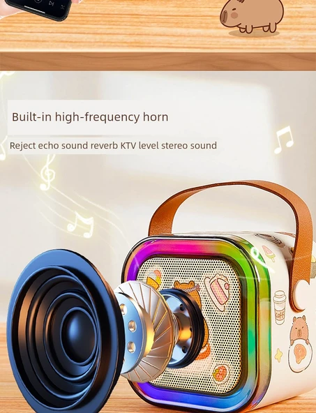 Çift Mikrofonlu Karaoke Seti - Kabipbala Desenli - Bluetooth, Gradient Lamba, Miks Ses - 8