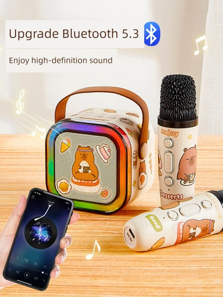 Çift Mikrofonlu Karaoke Seti - Kulomi Desenli - Bluetooth, Gradient Lamba, Miks Ses - 2