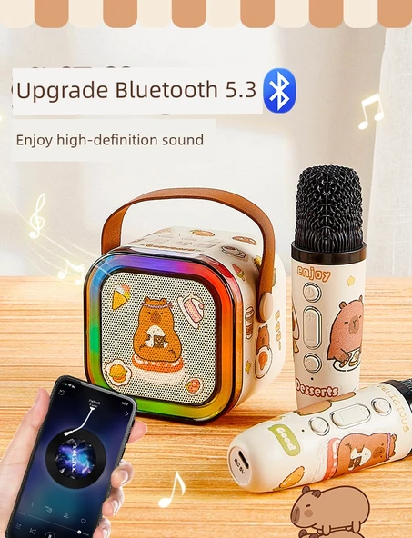 Çift Mikrofonlu Karaoke Seti - Kabipbala Desenli - Bluetooth, Gradient Lamba, Miks Ses - 7