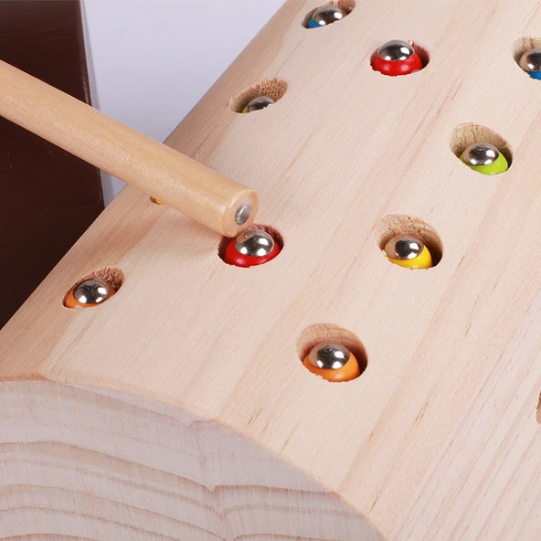 Montessori Ahşap Manyetik Yakalama Oyunu - Ahşap Renkli Böcek Yakalama + Stereo Balık Tutma - 5