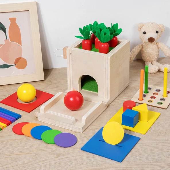 Montessori 5'i 1 Arada Havuç Çekme Oyuncak - Şekil Eşleştirme Oyunu