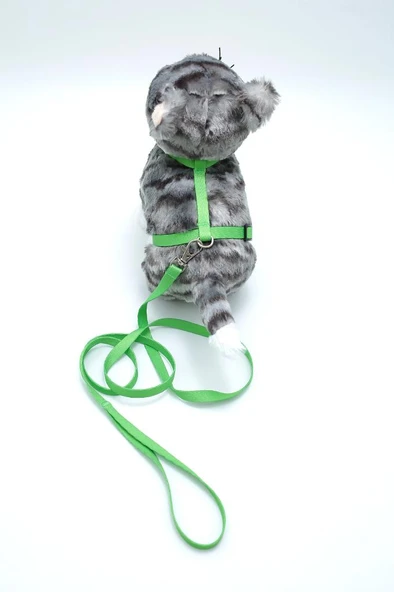 Kedi Düz Göğüs Tasması Ve Gezdirme Seti Ps9643 - 1