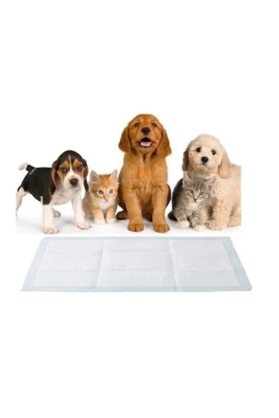 STERİCARE Kedi Köpek Çiş Pedi 60x90 Cm 30' Lu Paket Yatak Koruyucu Serme 1 Adet