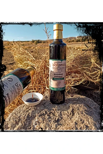 Biotama Çam Kozalağı Pekmezi 700 gr Cocha Chincona Ile Artık Daha Güçlü - 5