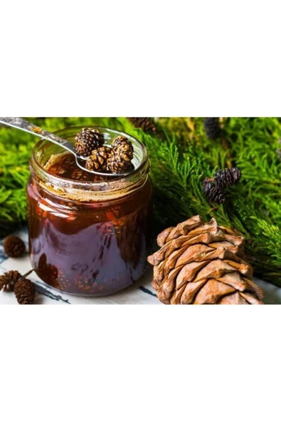 Biotama Çam Kozalağı Pekmezi 700 gr Cocha Chincona Ile Artık Daha Güçlü - 3