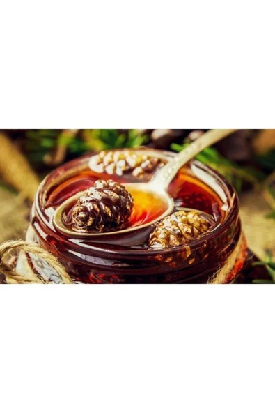 Biotama Çam Kozalağı Pekmezi 700 gr Cocha Chincona Ile Artık Daha Güçlü - 2