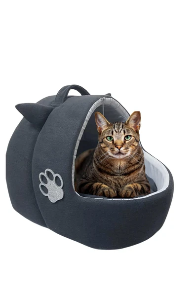 Kedi Köpek Yatağı Yuvası Yıkanabilir Kulaklı Neroplrklk2024101 - Resim 3