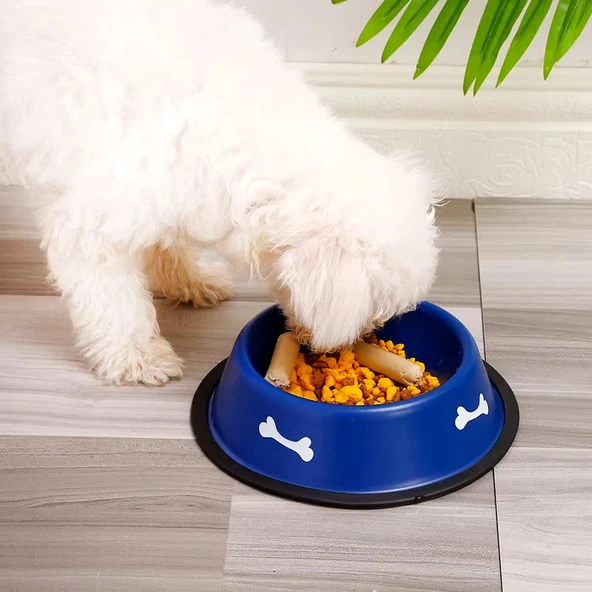 Kemik Desenli Köpek Çelik Mama Kabı