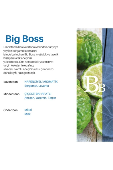 Carpex Maxx Pro 600 Geniş Alan Koku Makinesi Siyah + 120ml. Koku Kartuşu Big Boss - Resim 4