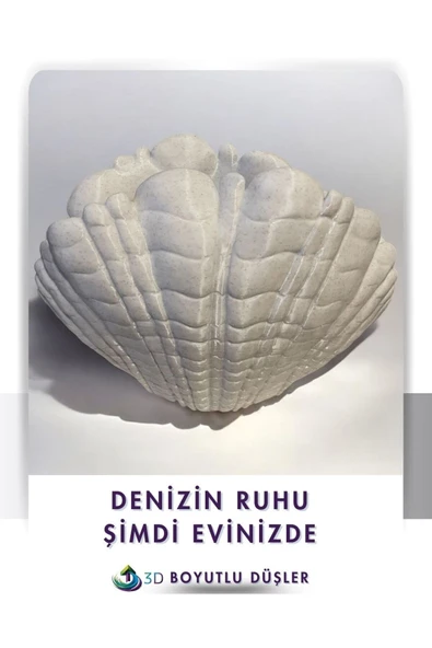 Deniz Kabuğu Modern Vazo - 3
