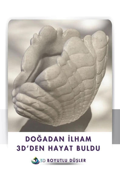 Deniz Kabuğu Modern Vazo - 5