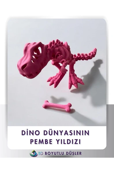 Sevimli İskelet Trex - Hareketli Organik Oyuncak - 3D Baskı - Dinazor çok renkli 30cm boyunda ürün görseli 1