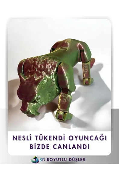 Nesli Tükenen Mafsallı Sabertooth Kedi çok renkli
