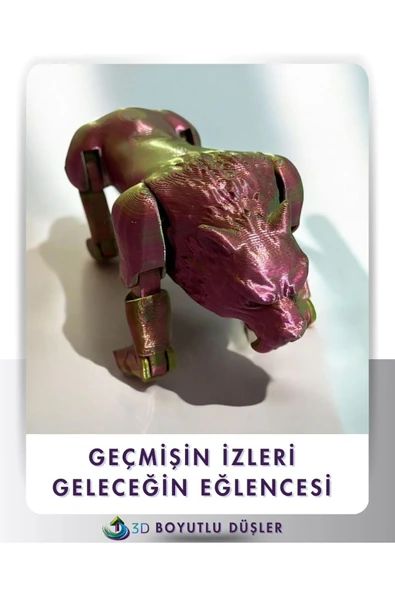 Nesli Tükenen Mafsallı Sabertooth Kedi çok renkli - 4