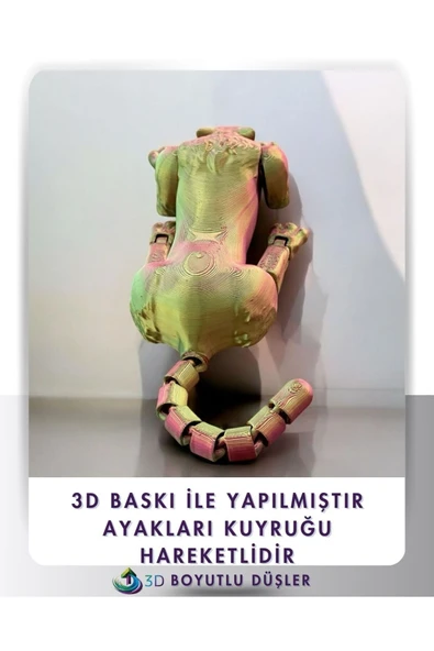 Nesli Tükenen Mafsallı Sabertooth Kedi çok renkli - 5