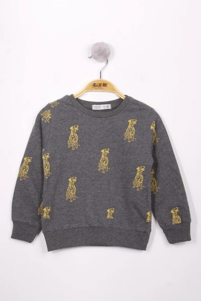 Toontoy Erkek Çocuk Köpek Baskılı Sweatshirt - 6