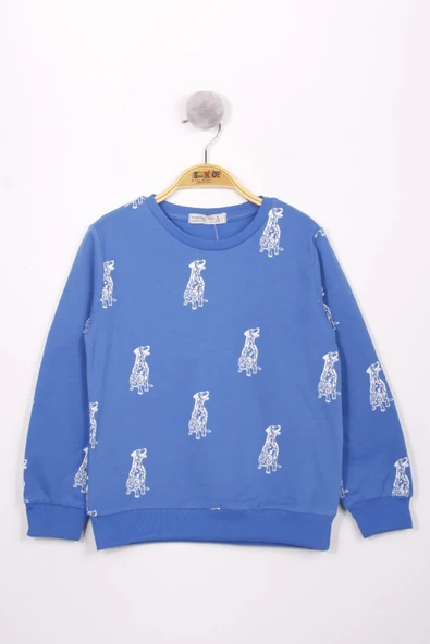 Toontoy Erkek Çocuk Köpek Baskılı Sweatshirt - 5