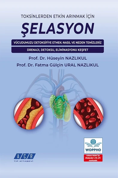 Şelasyon - Resim 2