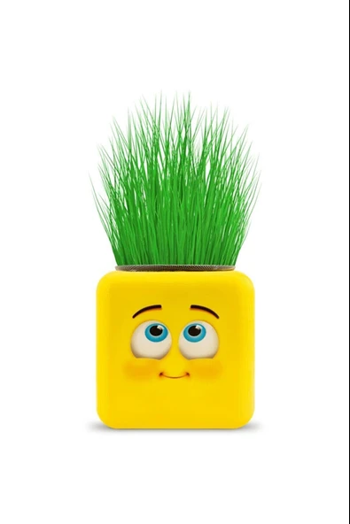 Çimoji 4 Figürlü Emoji Küp Çim Adam - 4