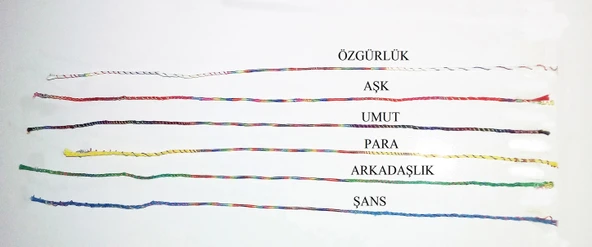 Renkli Şans Bileklikleri ( 6 Adet ) - 2