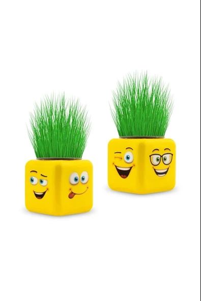 Çimoji 4 Figürlü Emoji Küp Çim Adam - 2