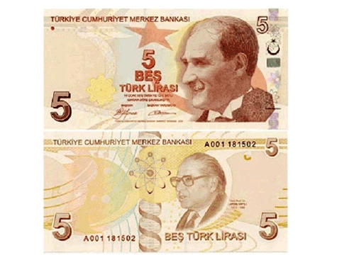 Düğün Parası - 100 Adet 5 TL - 2