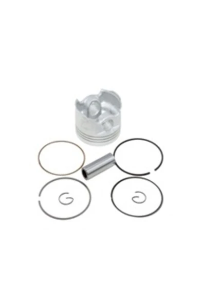 Piston Segman Takımı Honda Cbf 150