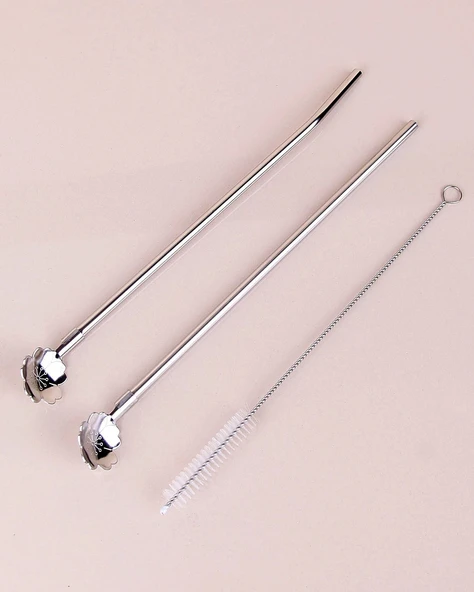 Paslanmaz Metal 2 li Kaşıklı Pipet Fırça Seti - 4