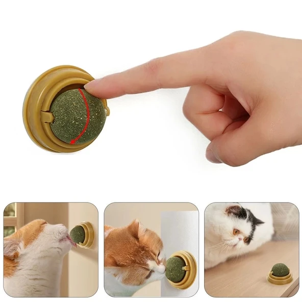 Duvara Yapışan Dönen Kedi Nanesi Cat Oyun Topu Doğal Kedi Oyuncağı - 2