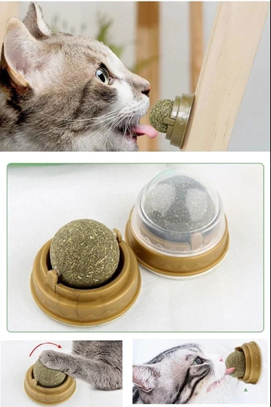 Duvara Yapışan Dönen Kedi Nanesi Cat Oyun Topu Doğal Kedi Oyuncağı - 3
