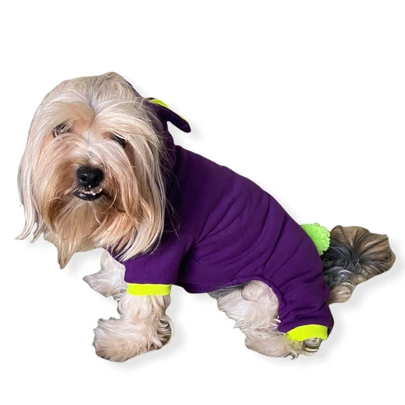 Bunny Pom Kulaklı Köpek Tulumu Kıyafeti - 6