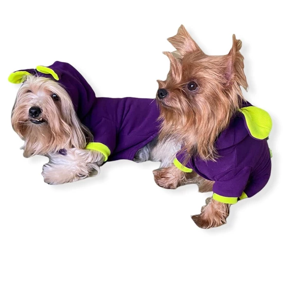 Bunny Pom Kulaklı Köpek Tulumu Kıyafeti - 7