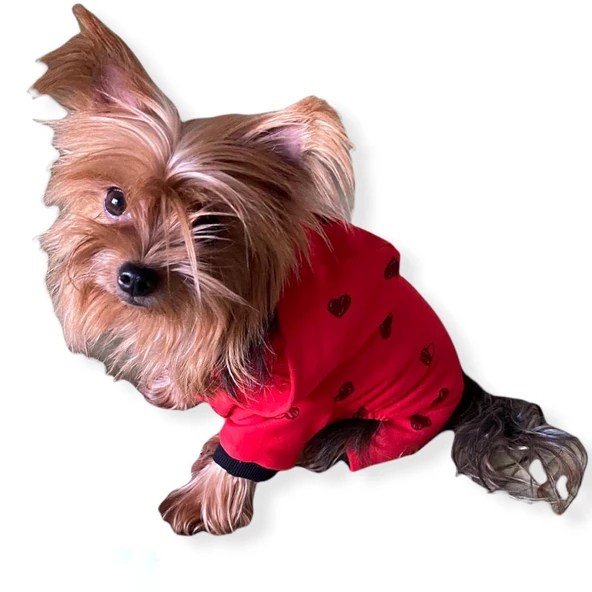 Darky Hearts Kırmızı Kapşonlu Penye Köpek Tulumu - 3