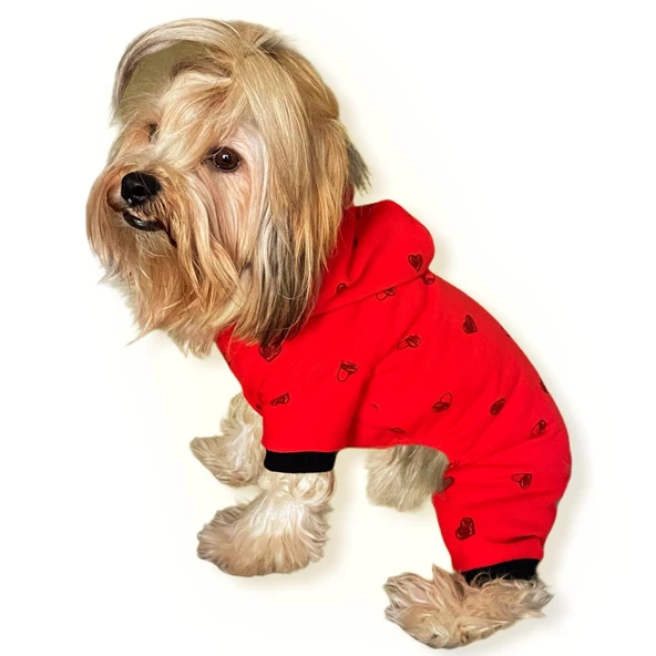 Darky Hearts Kırmızı Kapşonlu Penye Köpek Tulumu - 5