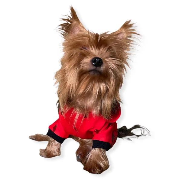 Darky Hearts Kırmızı Kapşonlu Penye Köpek Tulumu - 4