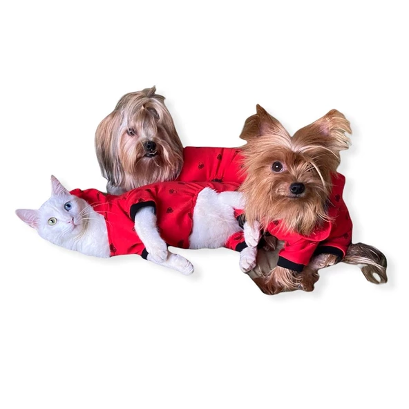 Darky Hearts Kırmızı Kapşonlu Penye Kedi Tulumu - 4